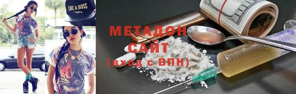 прущие грибы Новозыбков