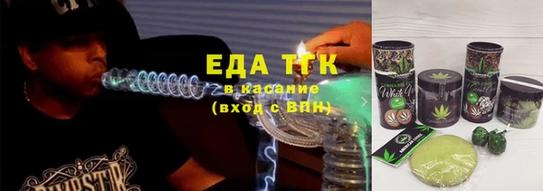 прущие грибы Новозыбков