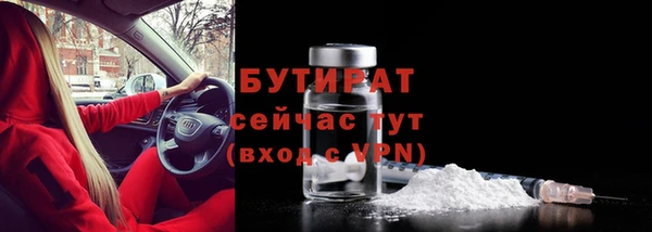 прущие грибы Новозыбков
