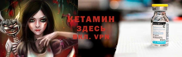 прущие грибы Новозыбков