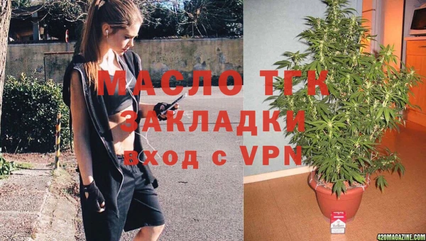 прущие грибы Новозыбков