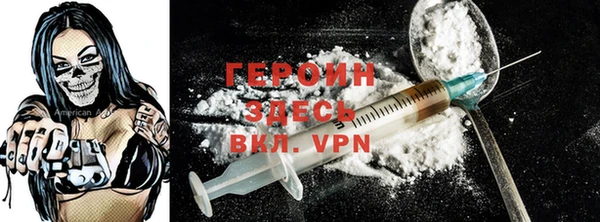 прущие грибы Новозыбков