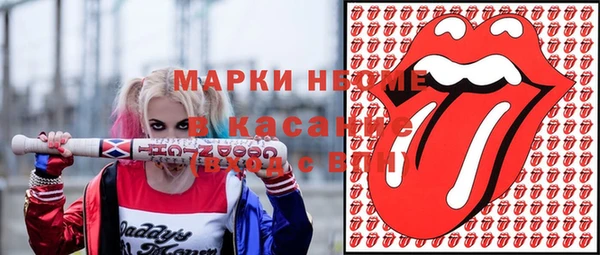 прущие грибы Новозыбков
