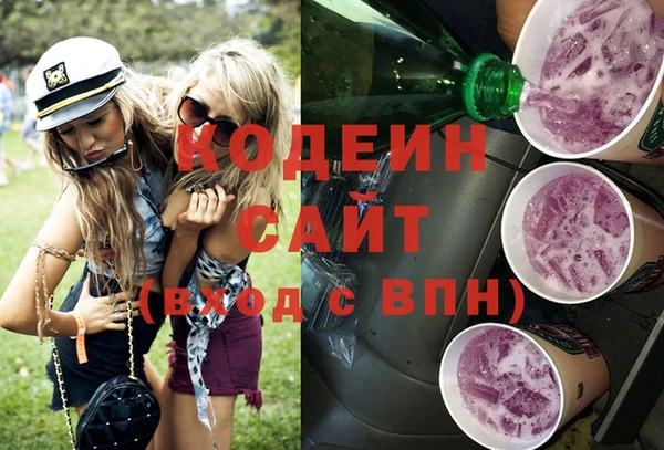 прущие грибы Новозыбков
