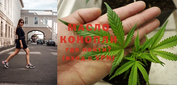 прущие грибы Новозыбков