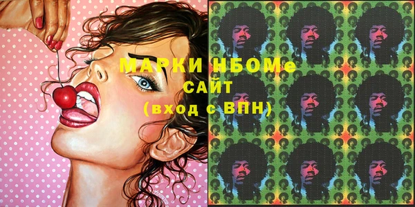 прущие грибы Новозыбков