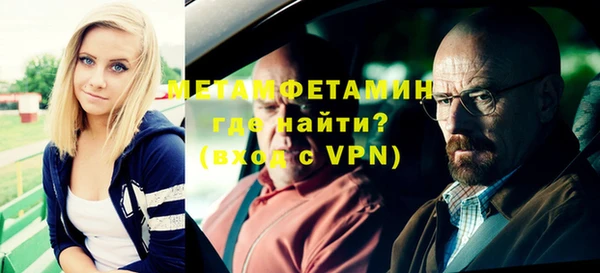 прущие грибы Новозыбков