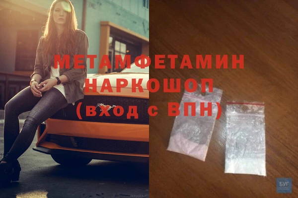 прущие грибы Новозыбков